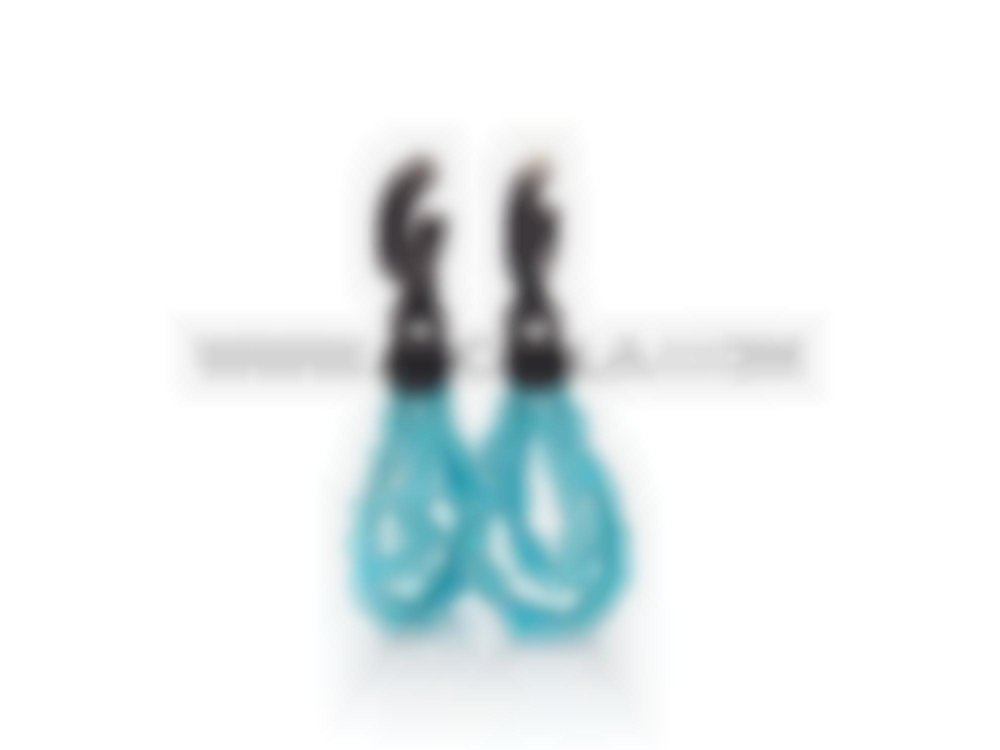 Turquoise arizona earrings 