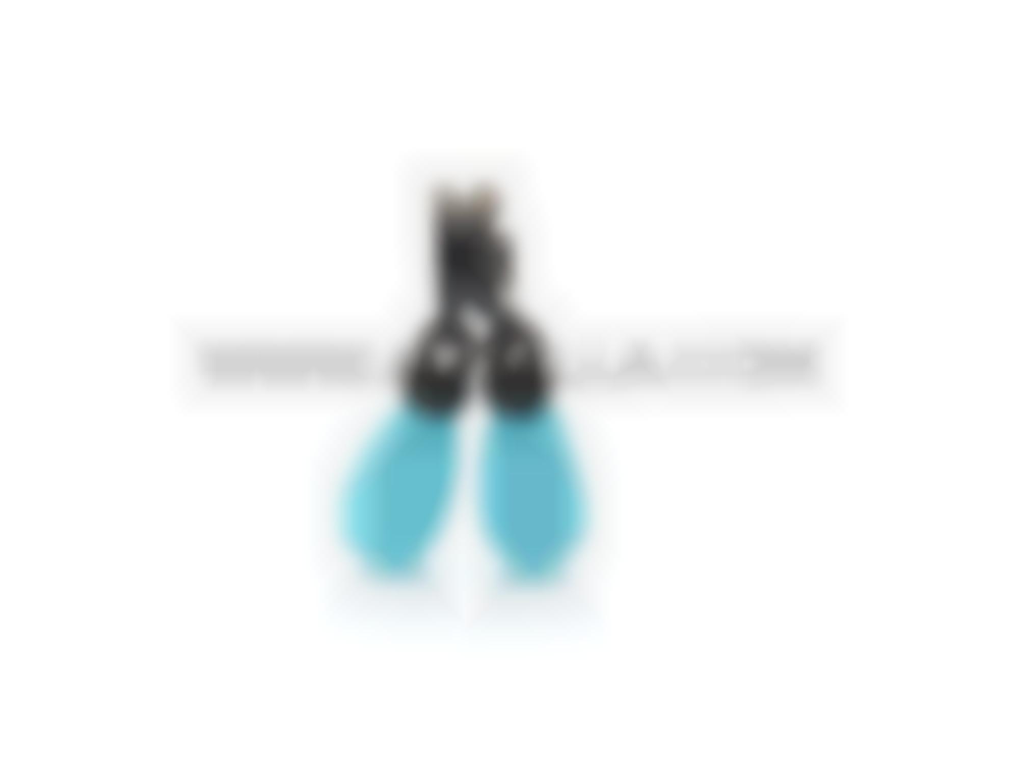 Earrings with synthetic turquoise ebony and silver