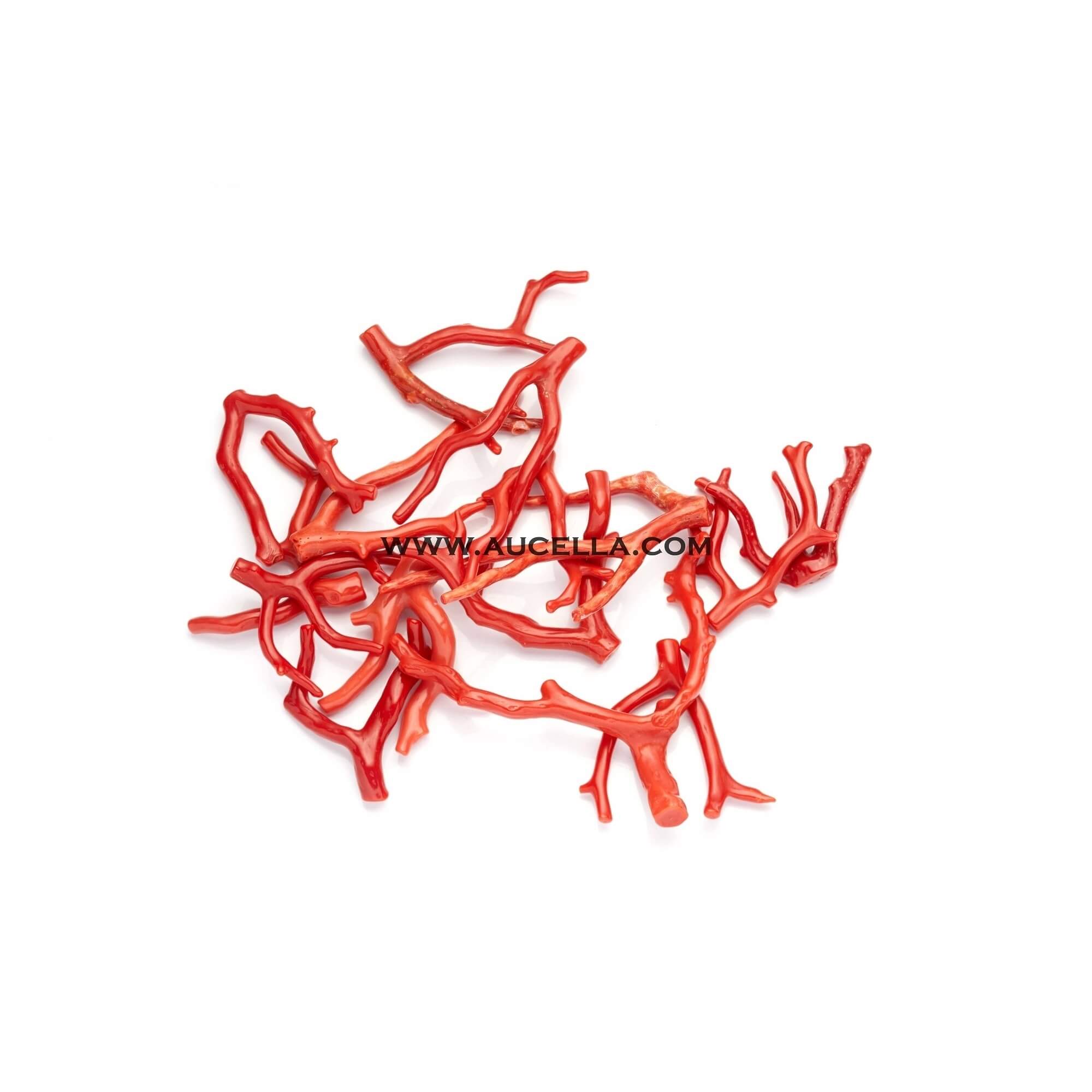 Branch red coral