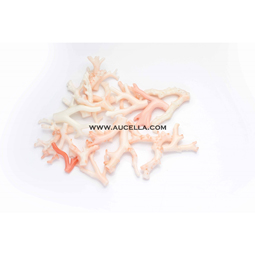 Branch pink coral