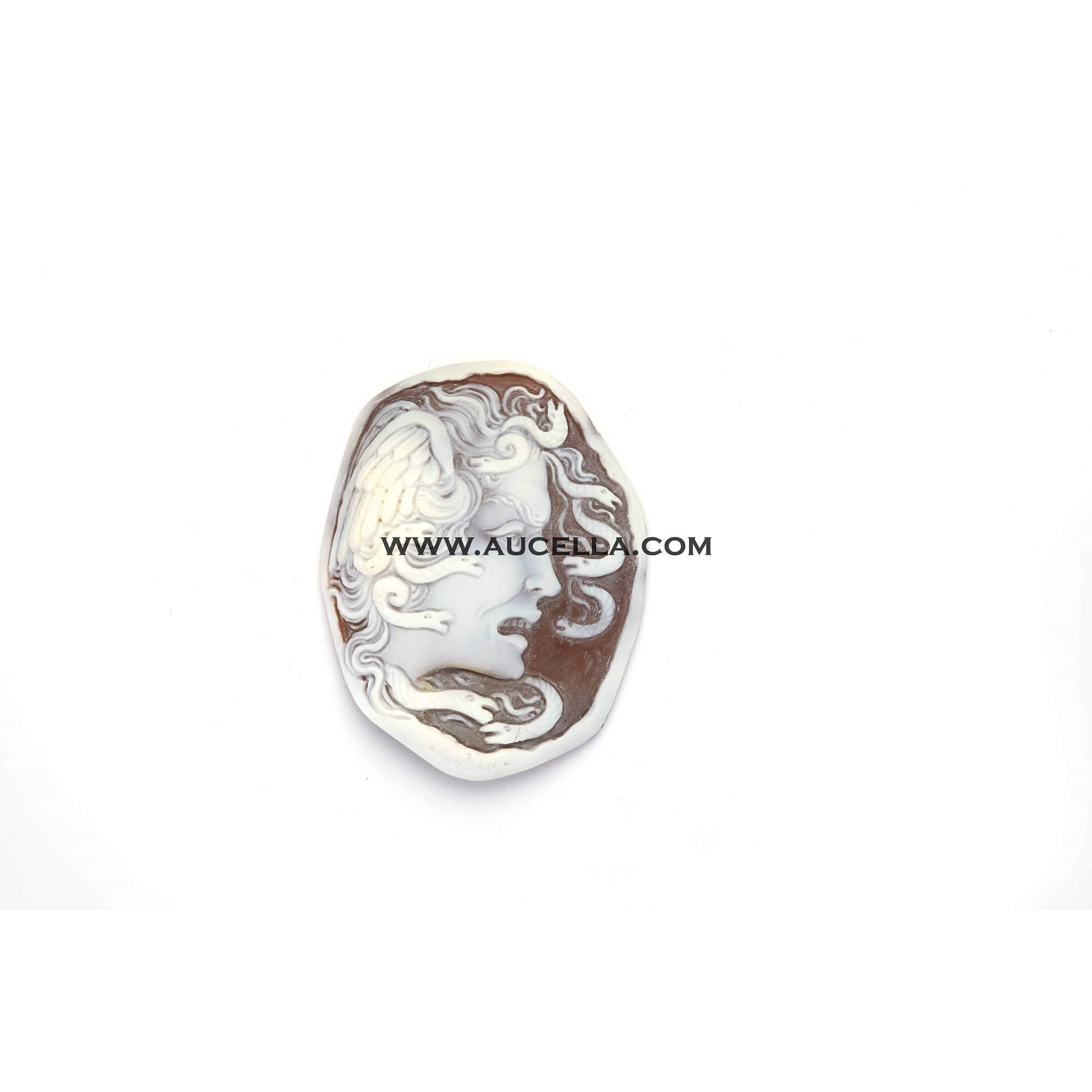 Cameo signed Aversano