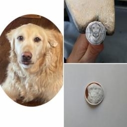 Dog on cameo