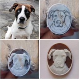 Dog carved on natural seashell 