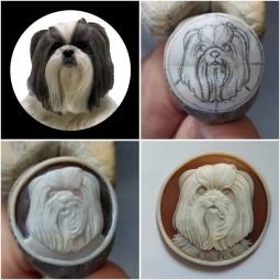 Dog handmade on natural seashell 