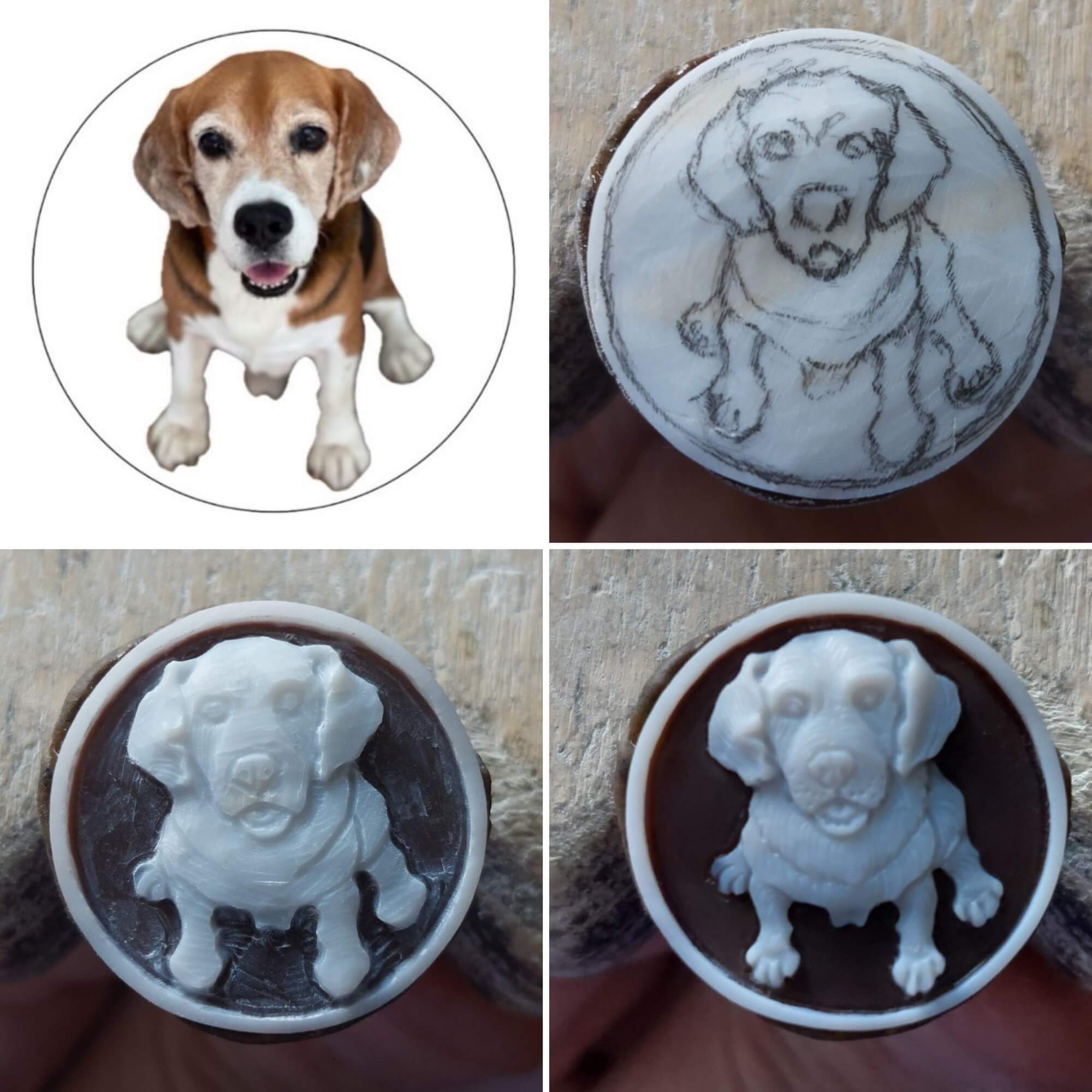 Dog carved on natural seashell